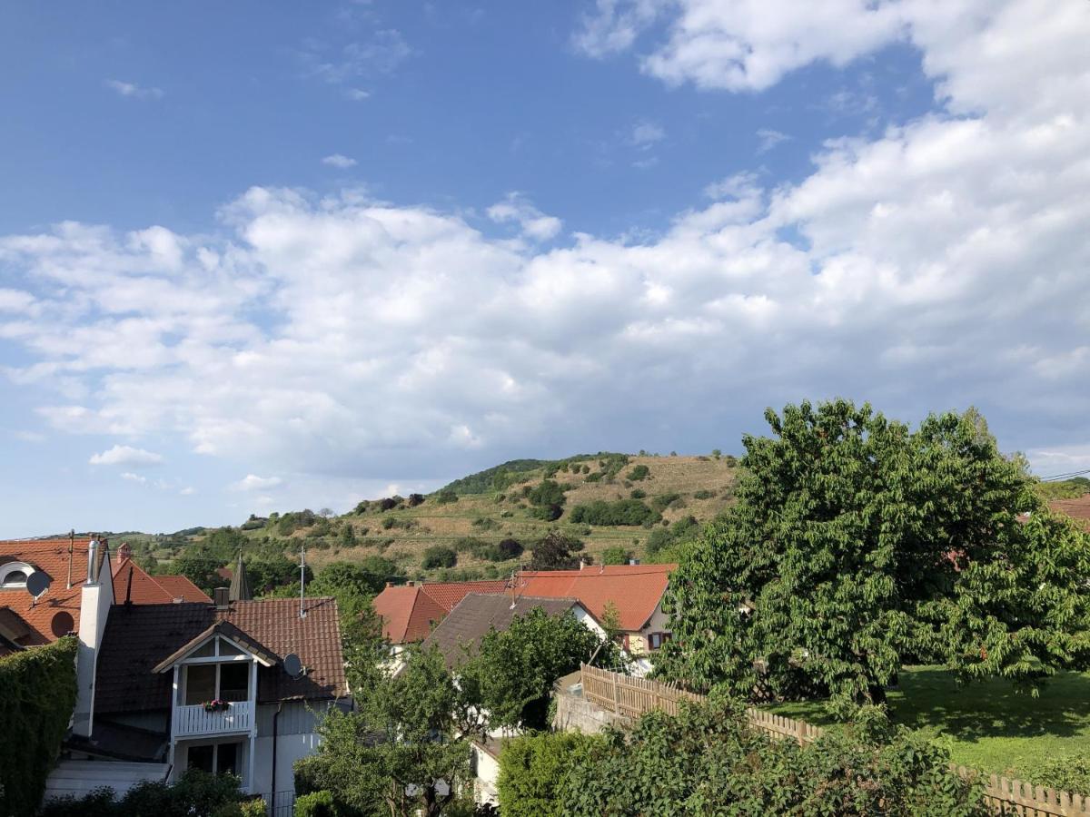 Ferienhaus Irene Vogtsburg Εξωτερικό φωτογραφία